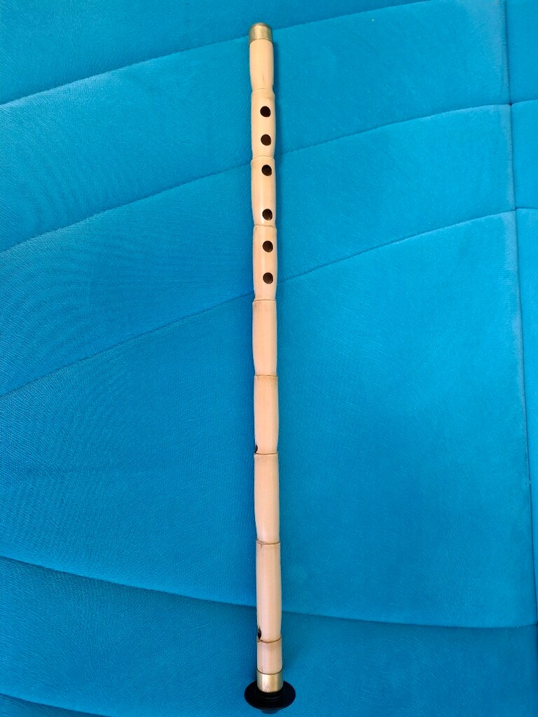 kılıfıyla sipürde ney satılıktır - 2