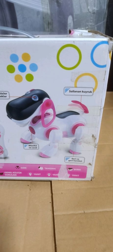 Akıllı Robot Köpek - 4
