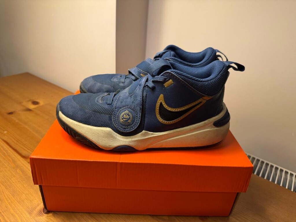 Nike Basketbol Ayakkabısı Team Hustle - 3