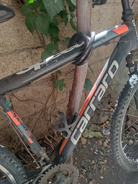 CARRARO SPEED 260 Bisiklet