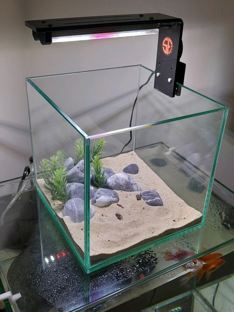 nano akvaryum mini 20x20x20 clear - 3