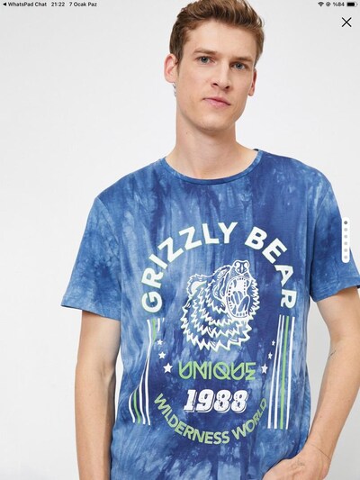 Koton erkek t shirt