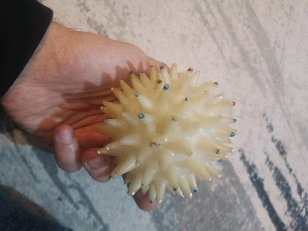 düdüklü oyuncak kirpi - 3