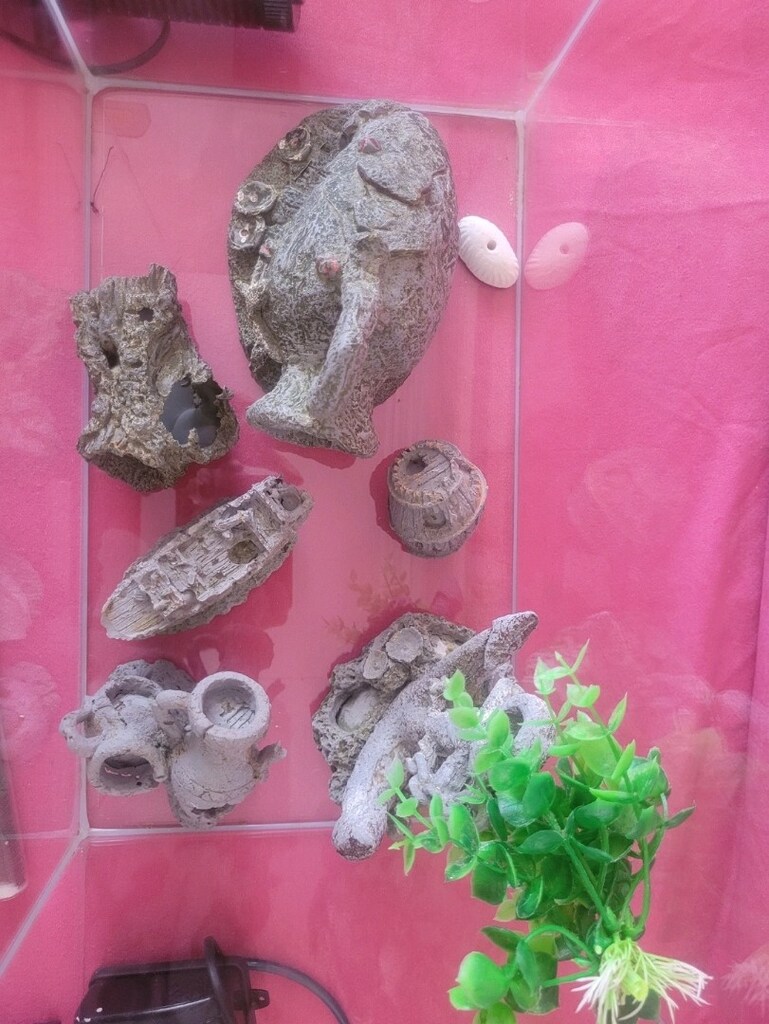 Akvaryum - 3