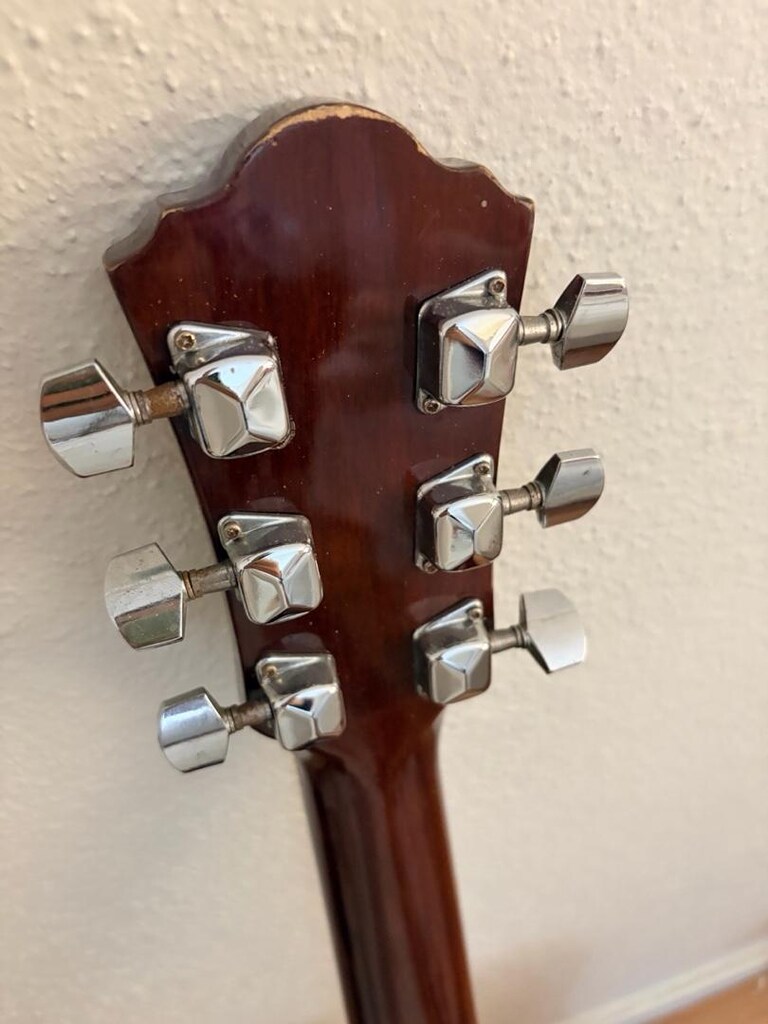 Ibanez Akustik Gitar - 5