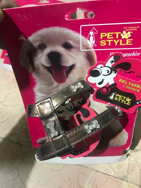 belden köpek tasma
