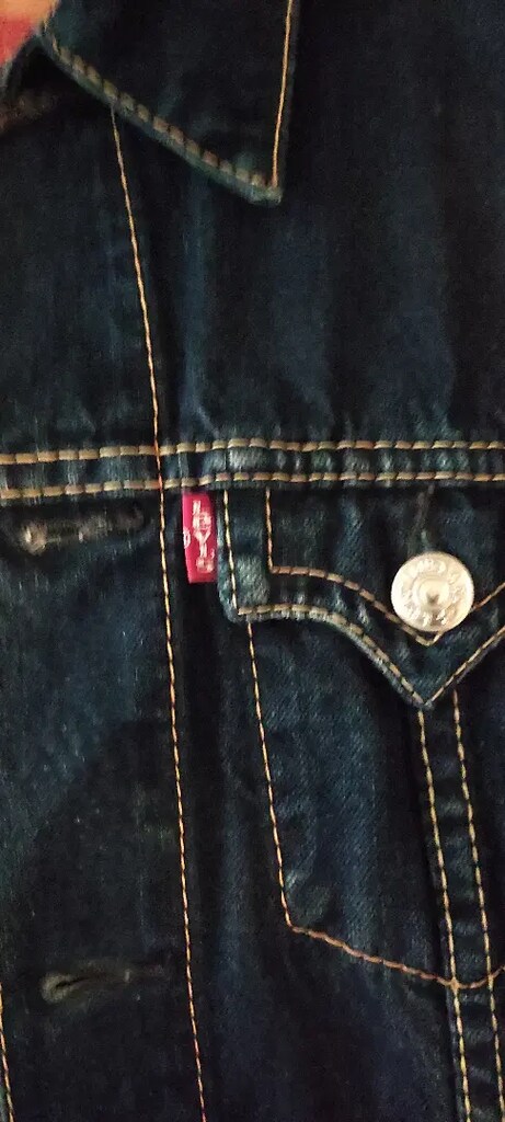 Levis Kadın ceket S beden 66 kıloya kadar birisini olur - 6