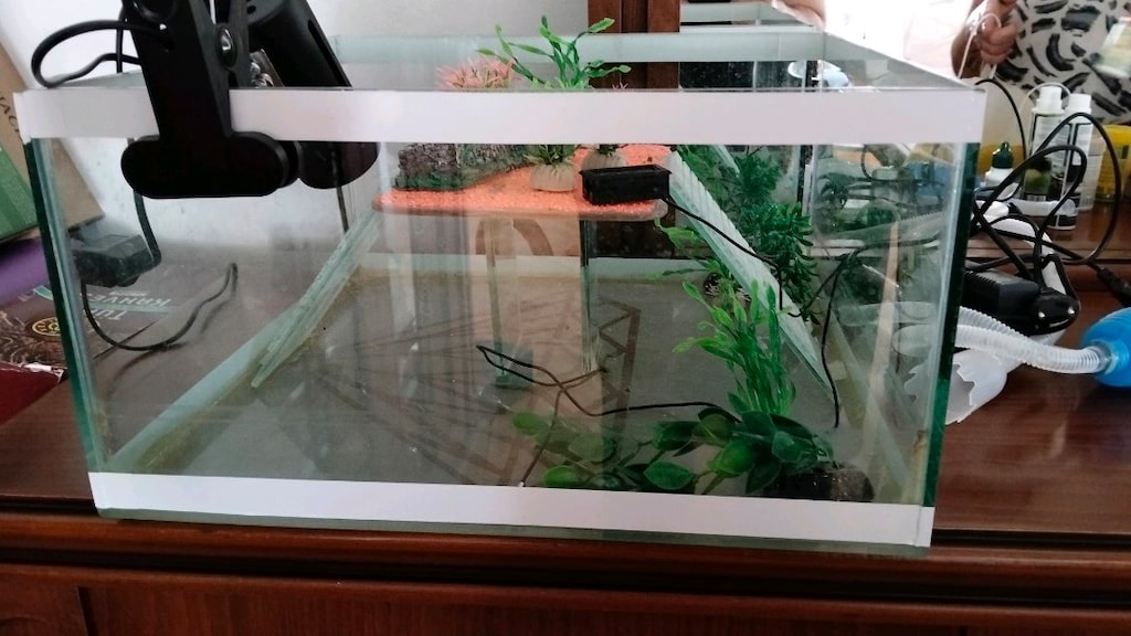 Kaplumbağa için 40L civarı akvaryum ve tüm seti - 3