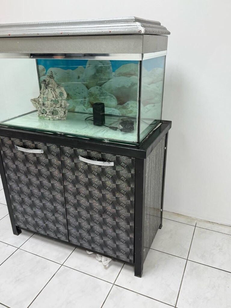 Akvaryum Büyük - 3