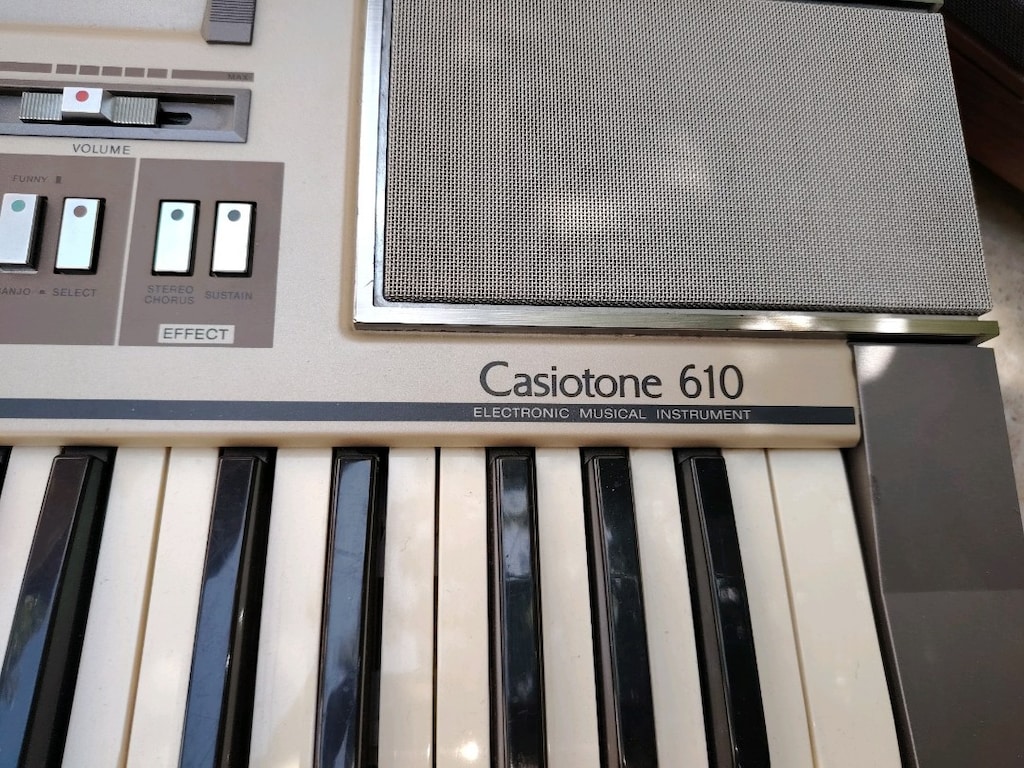 Vintage casıo org - 2