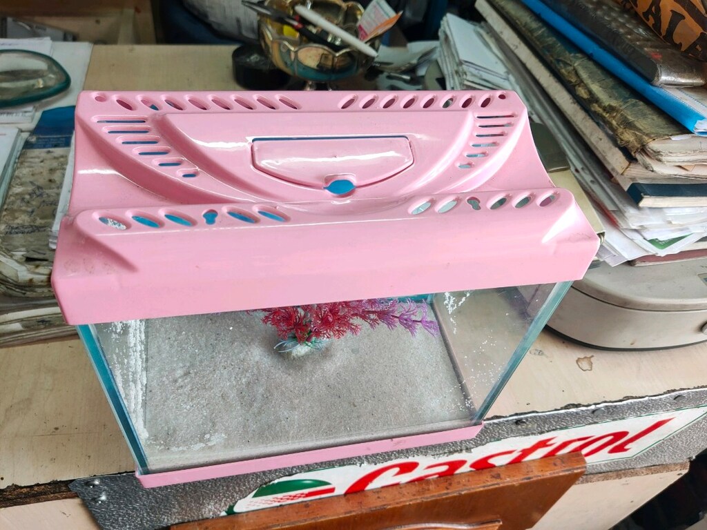 22/22/cm en 12cm akvaryum - 2