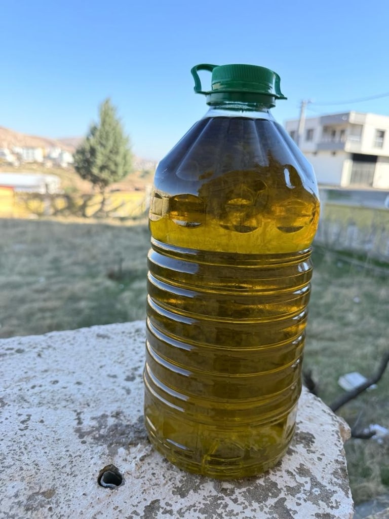 zeytin yağı - 3