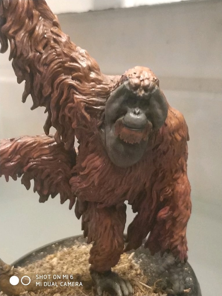 Koleksiyonluk El Boyaması Sumatran Orangutan Minyatürü (FRP / Diorama - 12