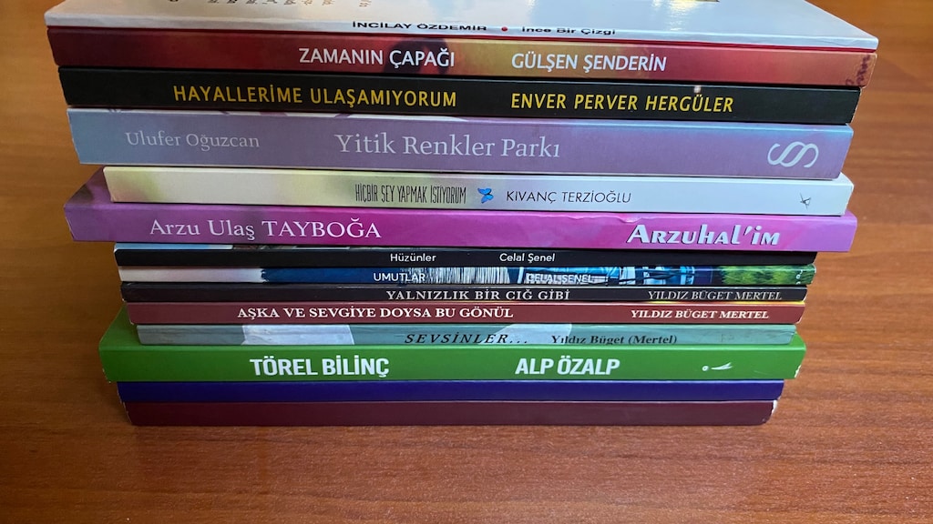 Şiir Kitapları 15 adetYENİ - 12