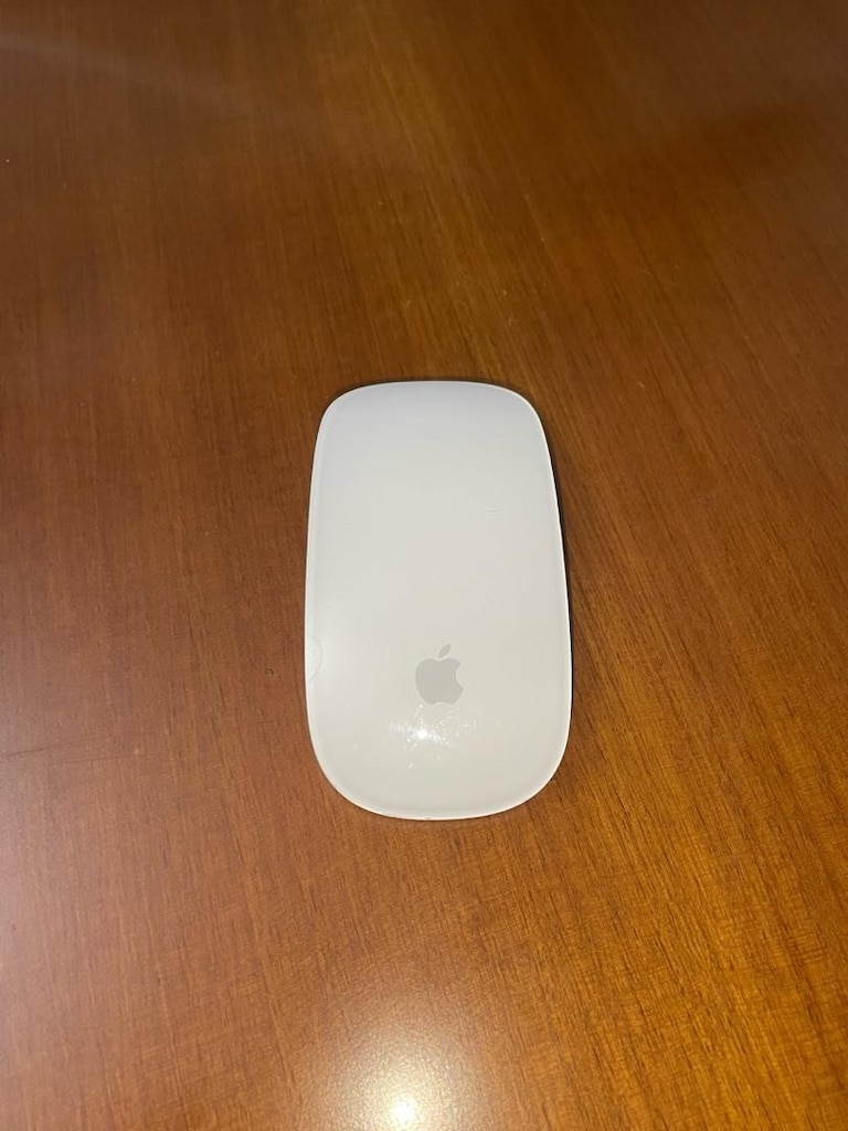 APPLE MAGİC MOUSE 2 - 2