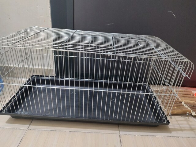 Hamster, Tavşan kafes takım