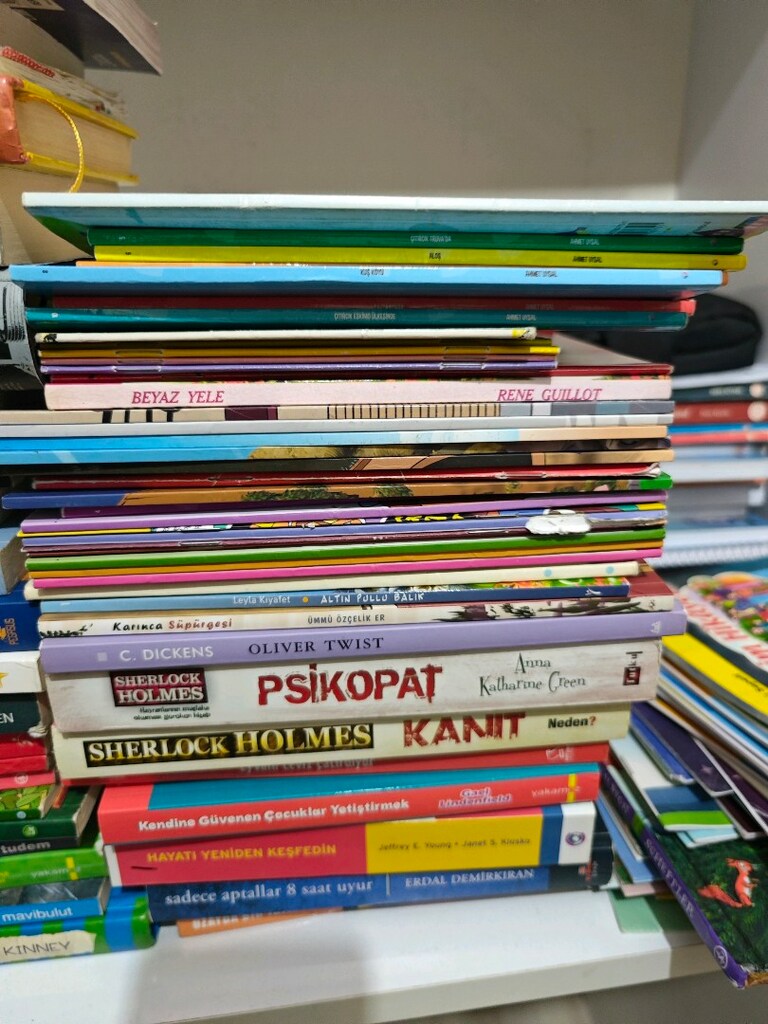 Okuma kitapları(ilkokul,ortaokul,lise) - 3
