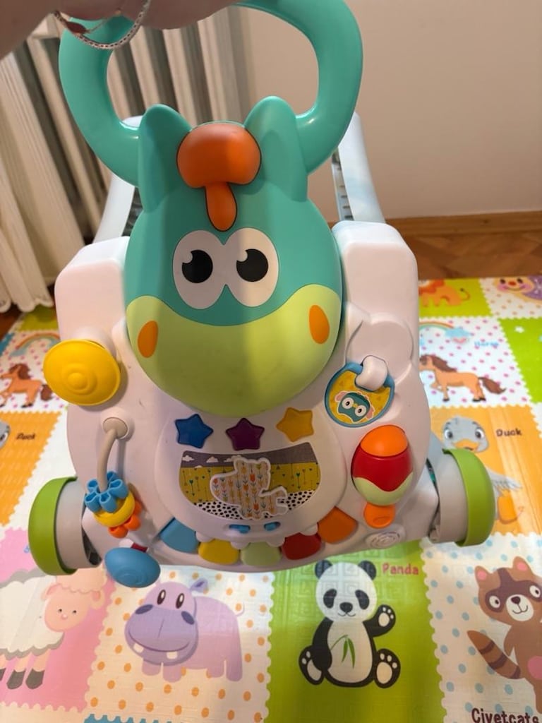 Fisher Price Eğitici Yürüme Arkadaşı - 4