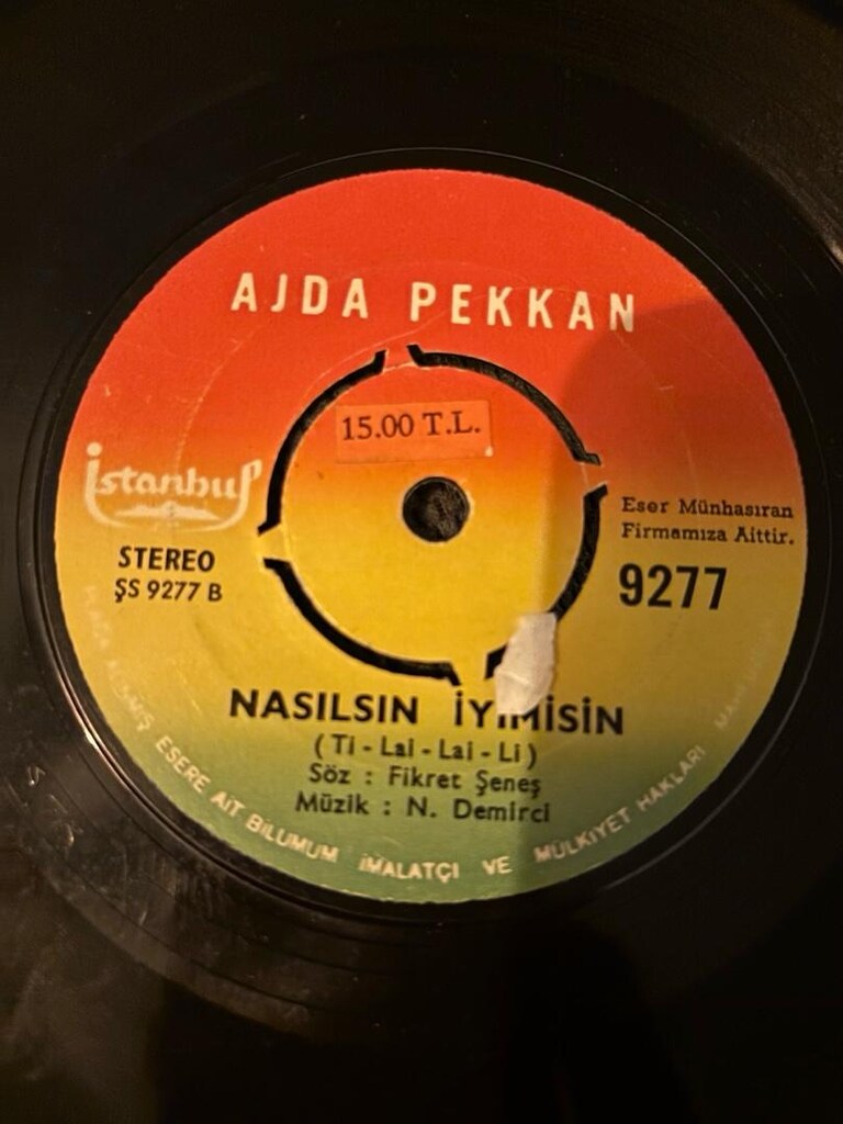 ajda pekkan 33lükleri - 8