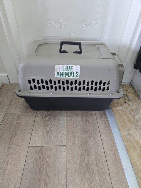 Köpek Kedi Taşıma Case Canta 60x41x38