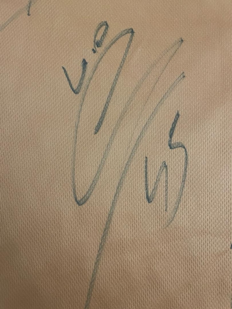Galatasaray GS Store Çoklu Islak İmzalı Tişört – Osimhen Icardi Barış - 7