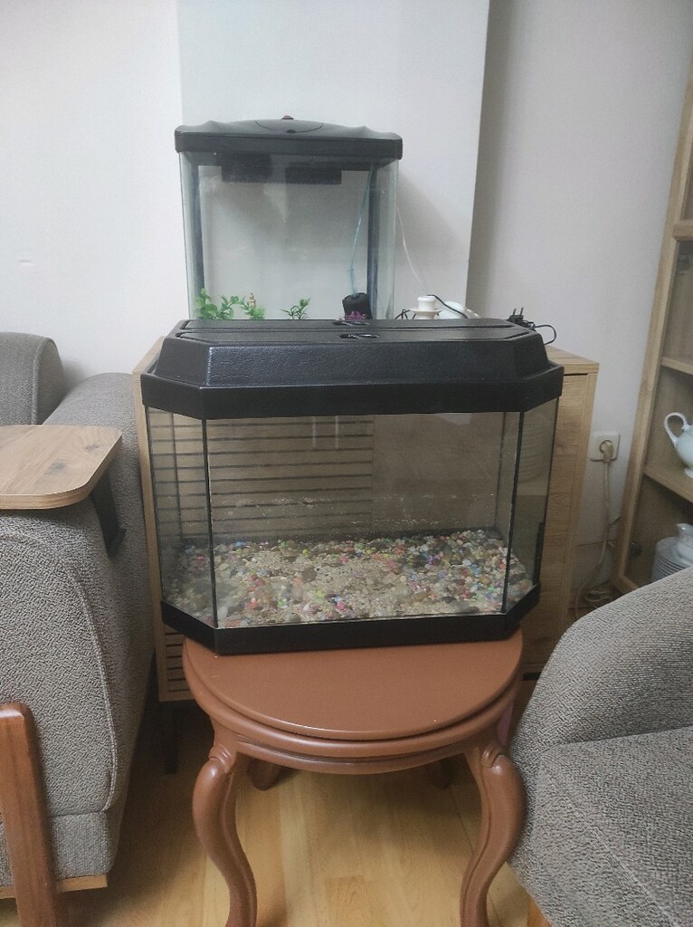 60x40x35 ölçüsü nadir köşegen akvaryum ışıklı taşları var motor sıfır - 5