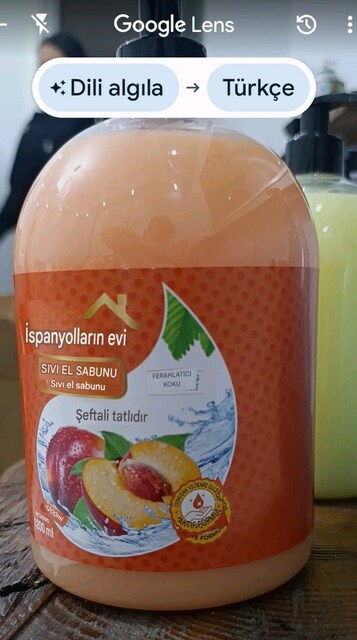 sıvı el sabunu