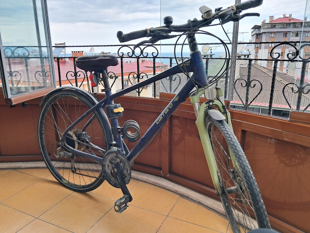 carraro şehir bisikleti