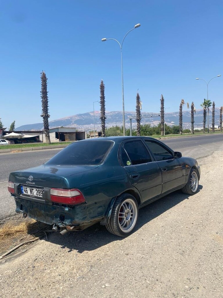 peynir ekmek parasına - 6