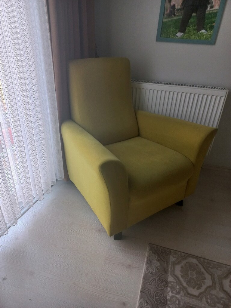 tekli berjer koltuk 2 adet - 2