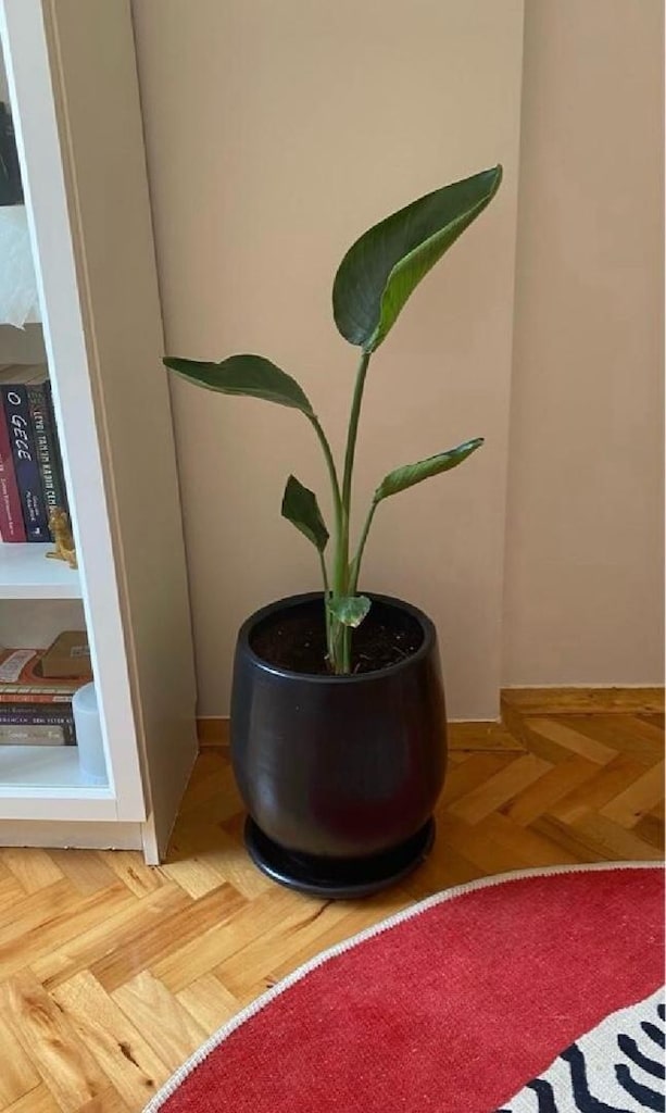 Balkon Saksıları 7+2 +1 - 8