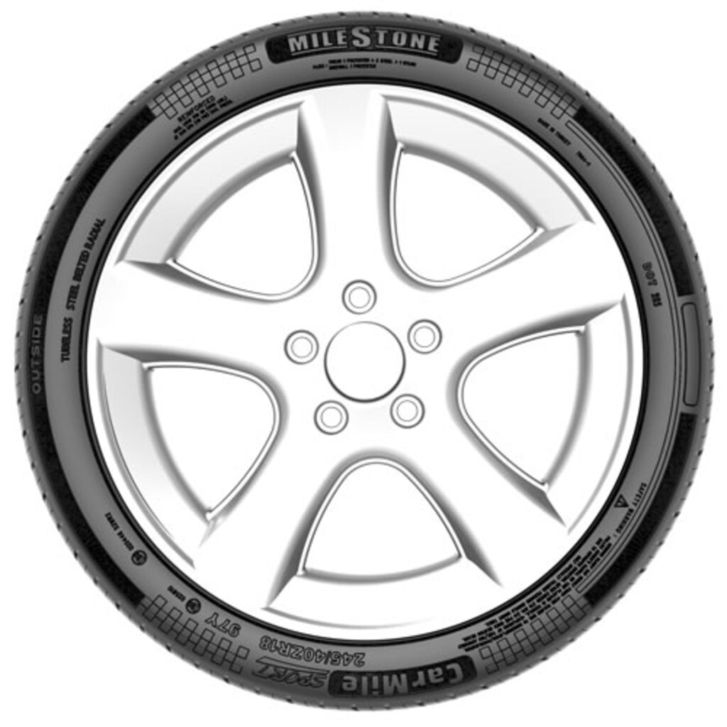 MILESTONE 245/45 R19 102W REINF. CARMILE SPORT YAZ LASTİĞİ - 3