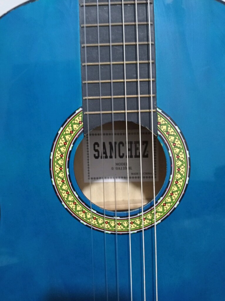 SANCHEZ GİTAR - 10