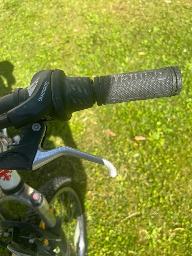 Bianchi Luca 24 Jant – 21 Vites Dağ Bisikleti - 6