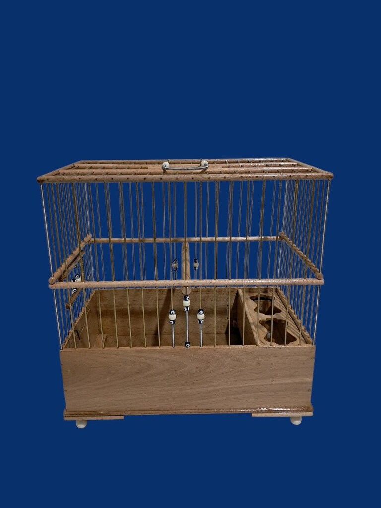 Kayın agacı saka kafesi - 4