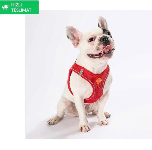 köpek kiyafeti küçük irk