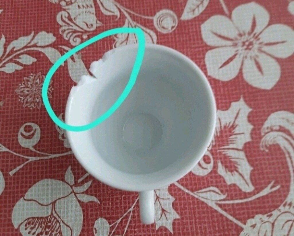 Yargıcı Porselen Fincan Seti - 4