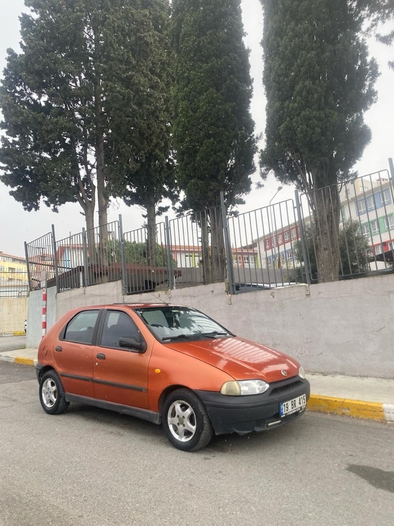 palio - 4