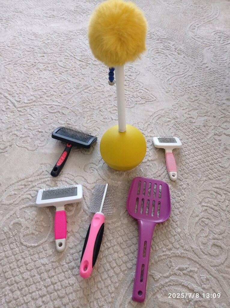 Kedi taşıma çantası kedi malzemeleri