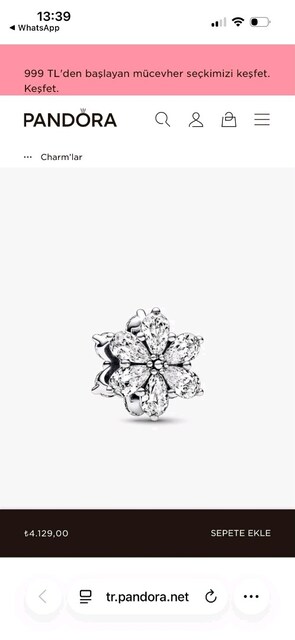 PANDORA CHARM (IŞILTILI HERBARYUM MODEL)
