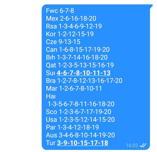 Dünya Kupası 2026 Panini çıkartma sticker