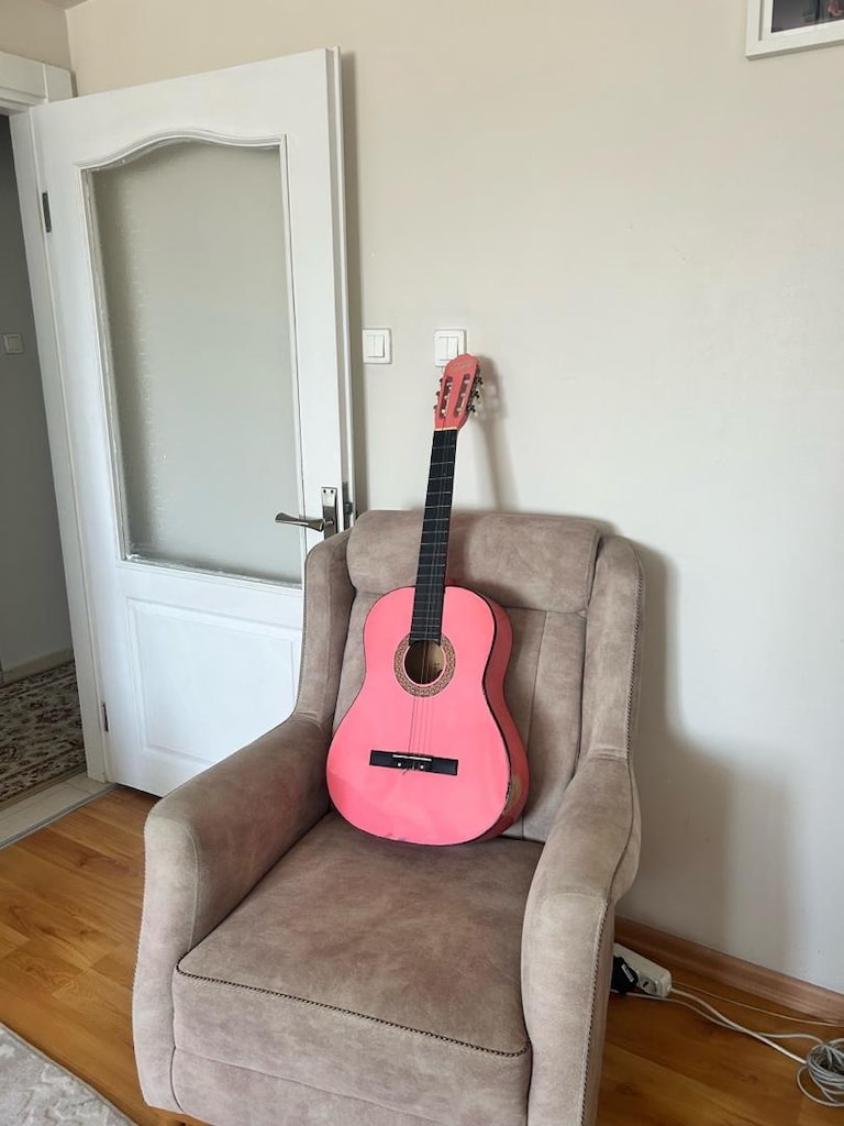 klasik gitar - 2