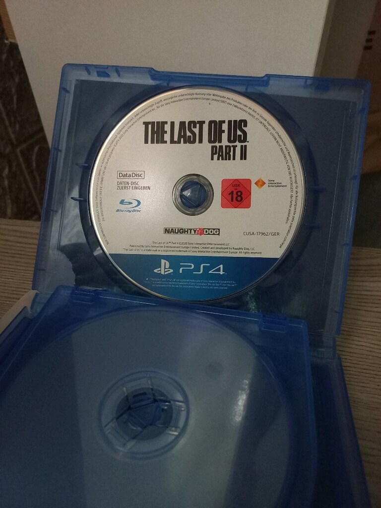 Last of Us Part 2 Türkçe - 4