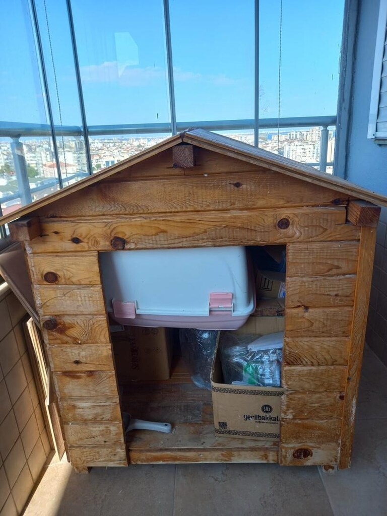 köpek klubesi - 3