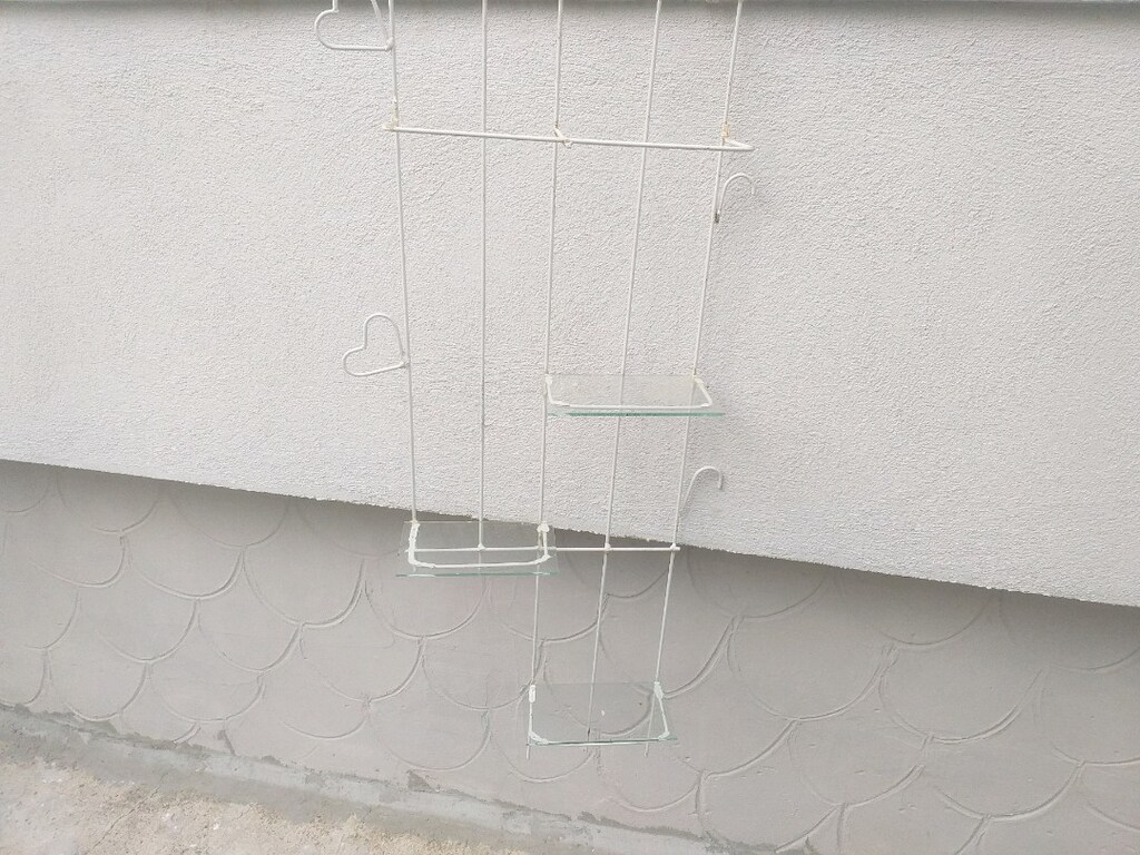 dış mekan ev teras bahçe duvar kamelya - 5