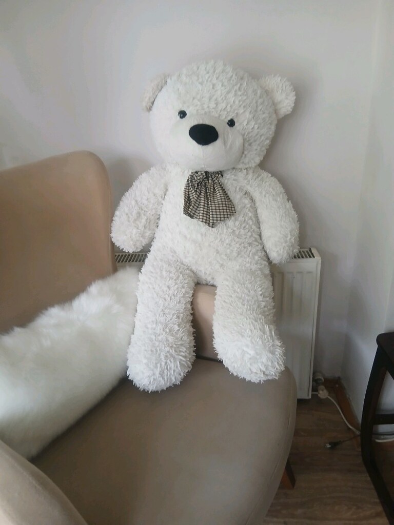Büyük boy ayı oyuncak - 6