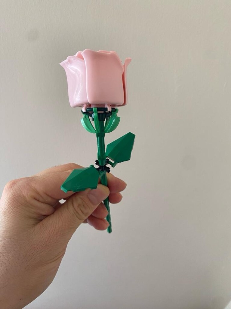 lwgo pembe gül - 5