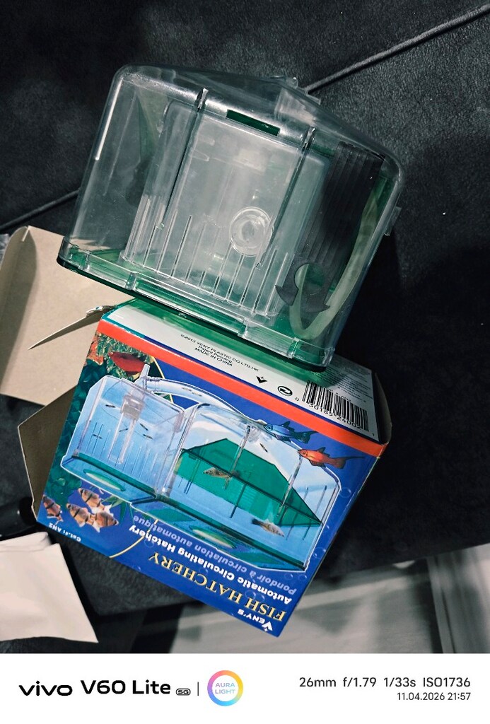 akıllı balık yavruluğu - 3