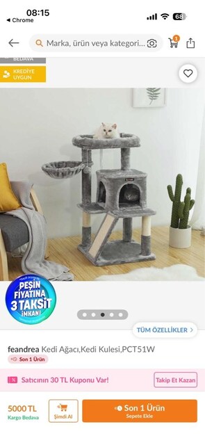 Feandrea Kedi Evi,Ağacı,Kedi Kulesi