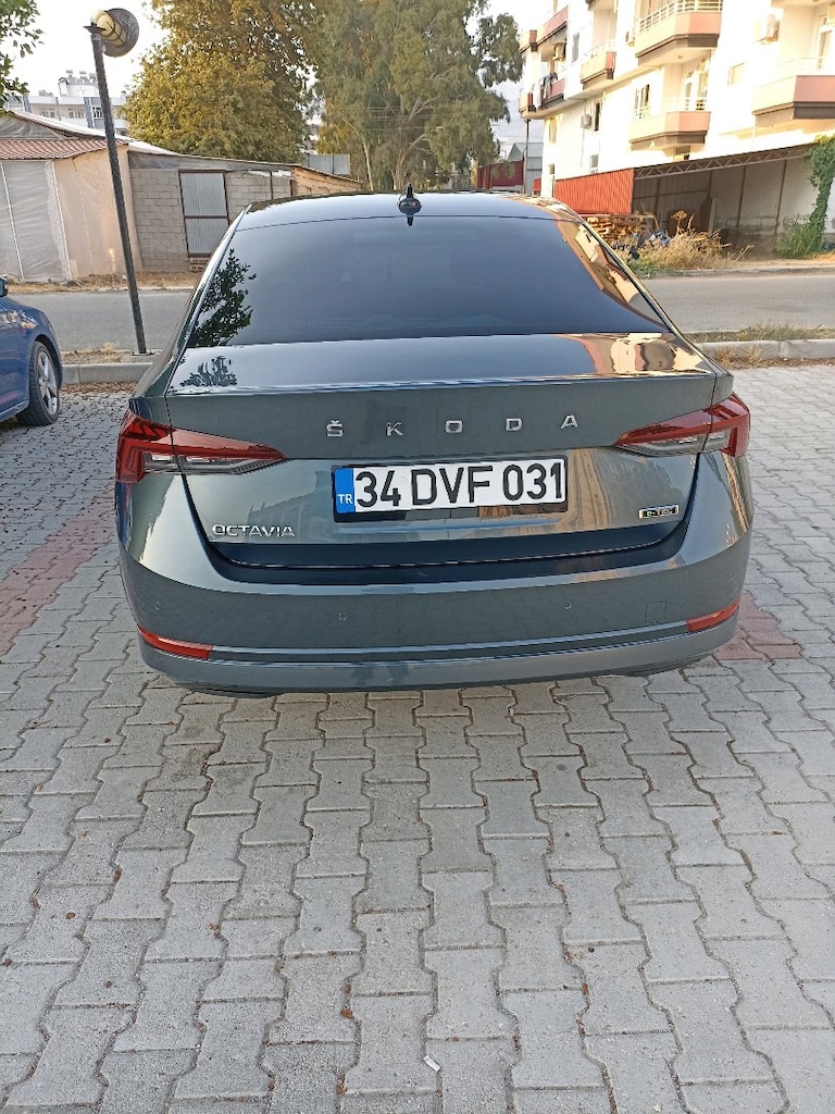 2021 çıkışlı hatasız boyasız 1.0 e-tec hibrit Octavia - 3